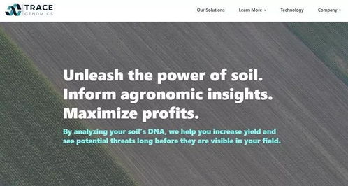 從人工智能到物聯(lián)網(wǎng) 技術(shù)如何重塑農(nóng)業(yè)與食品工業(yè)