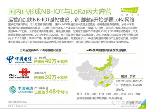 2018年中國(guó)物聯(lián)網(wǎng)LPWA技術(shù)研究與發(fā)展報(bào)告